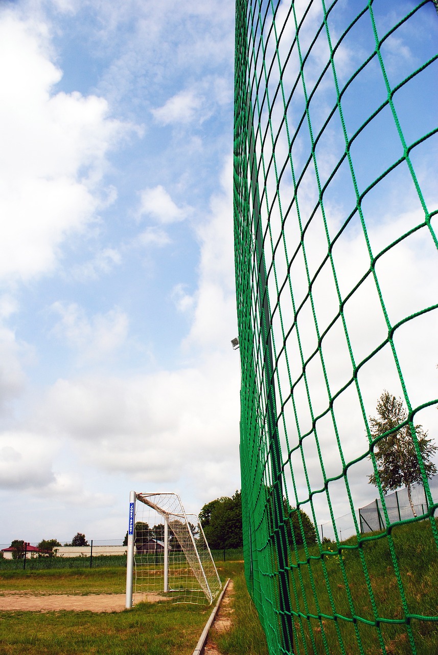 成功奠定了 成功奠定了