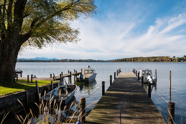 极强的领导 极强的领导