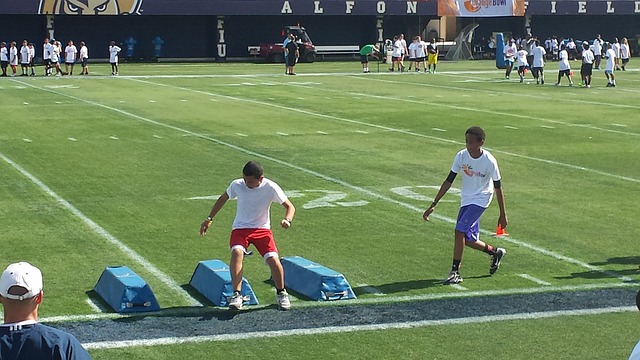 有着广泛的 有着广泛的