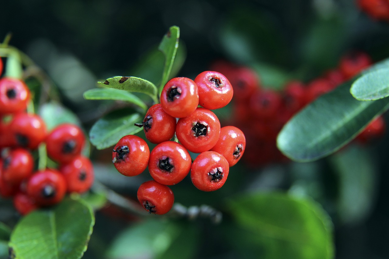 设计的剧情 设计的剧情