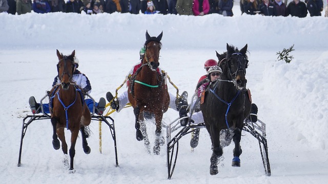大连人拼尽 大连人拼尽