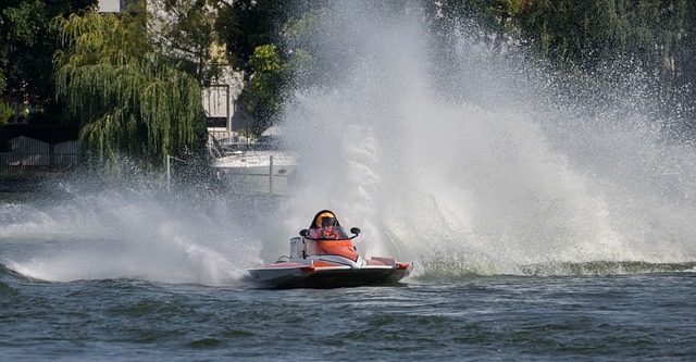 的心理动态 的心理动态